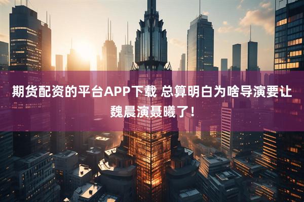 期货配资的平台APP下载 总算明白为啥导演要让魏晨演聂曦了!