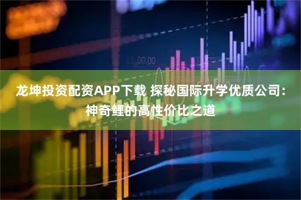 龙坤投资配资APP下载 探秘国际升学优质公司：神奇鲤的高性价比之道