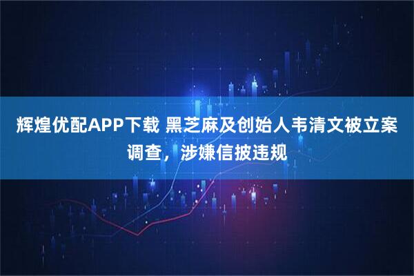 辉煌优配APP下载 黑芝麻及创始人韦清文被立案调查,涉嫌信披违规